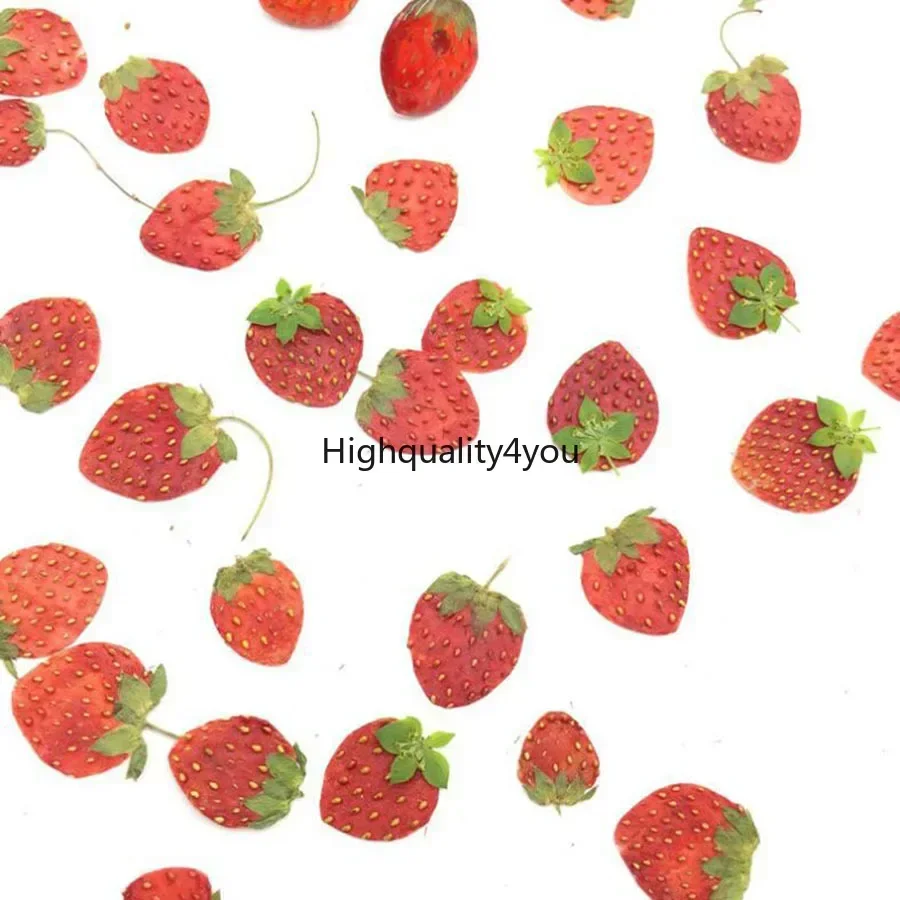 Dried Flower Bookmark - 10 stücke getrocknete gepresste Mini-Frucht Erdbeer