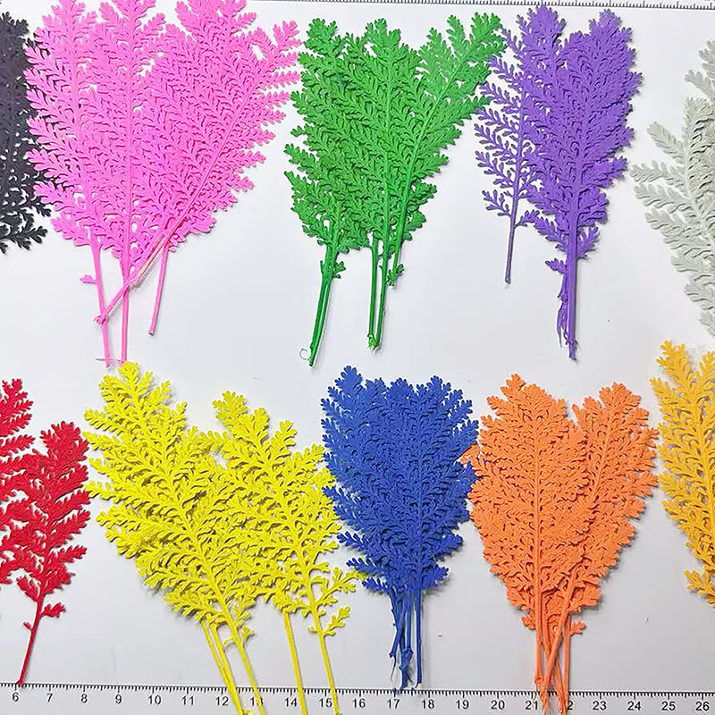 Dried Flower Bookmark - 100 Stück Natürliche Silberne Federblätter mit