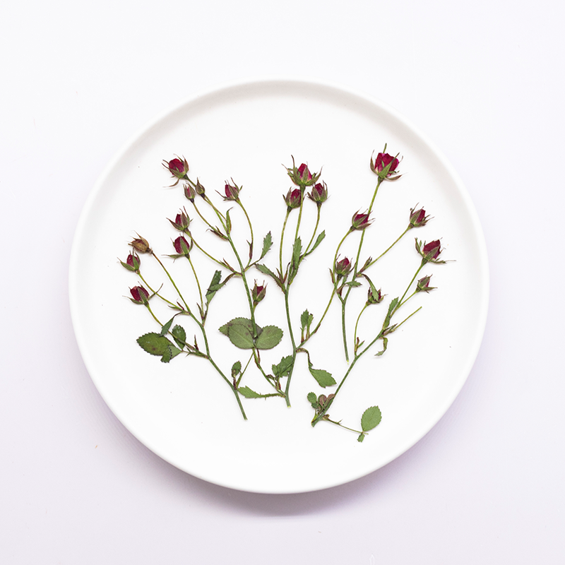 Dried Flower Bookmark - 12 Stück, Getrocknete Rosen-Mehrknospenzweige, Gepresste Blumen,