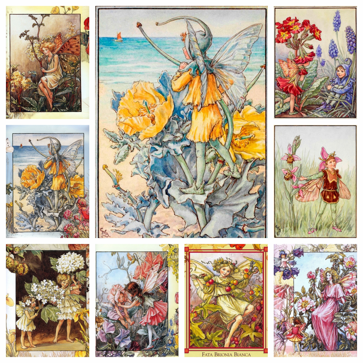 Cicely Mary Barker Kunstwerk B – Photo Mosaic Print Bewertung und Preis