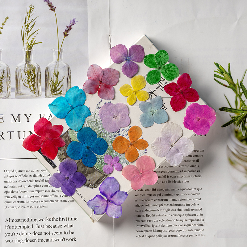 60 Stück Anna Hortensien Farba – Dried Flower Bookmark Bewertung und Preis