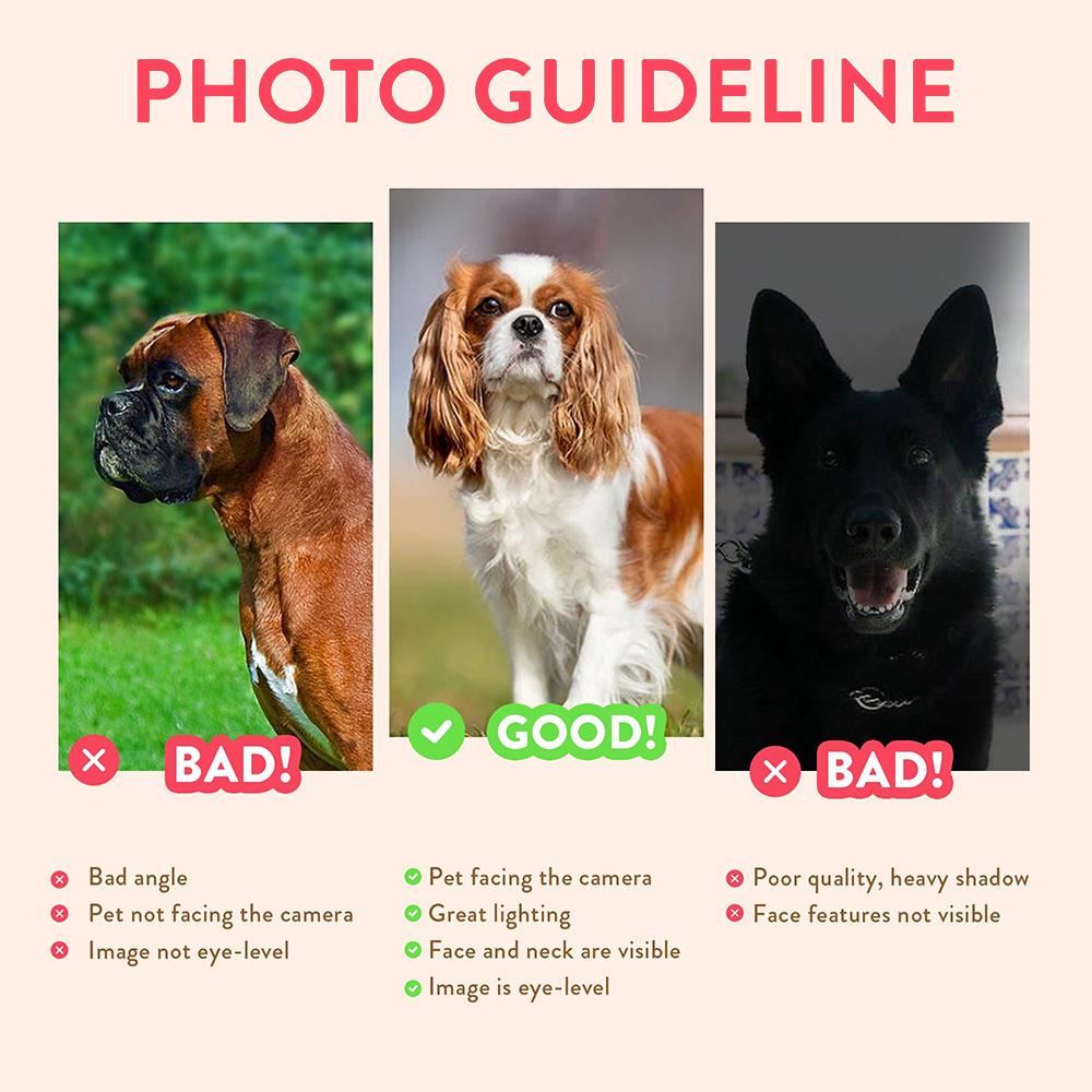 Personalisierte Haustier-Portr – Pet Portrait Custom Bewertung und Preis