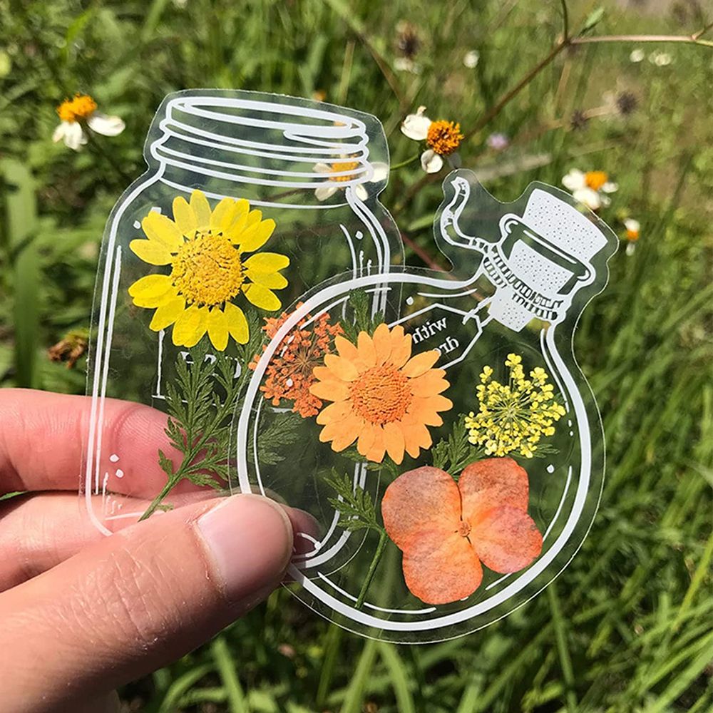 30 Stück handgemachte DIY tran – Dried Flower Bookmark Bewertung und Preis