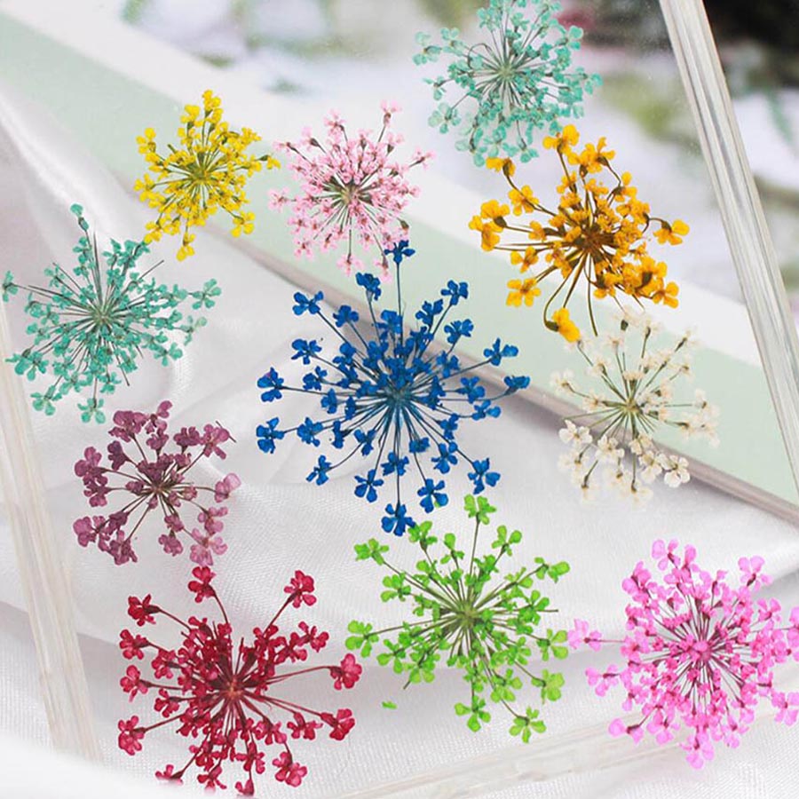60 stücke gepresst getrocknet  – Dried Flower Bookmark Bewertung und Preis