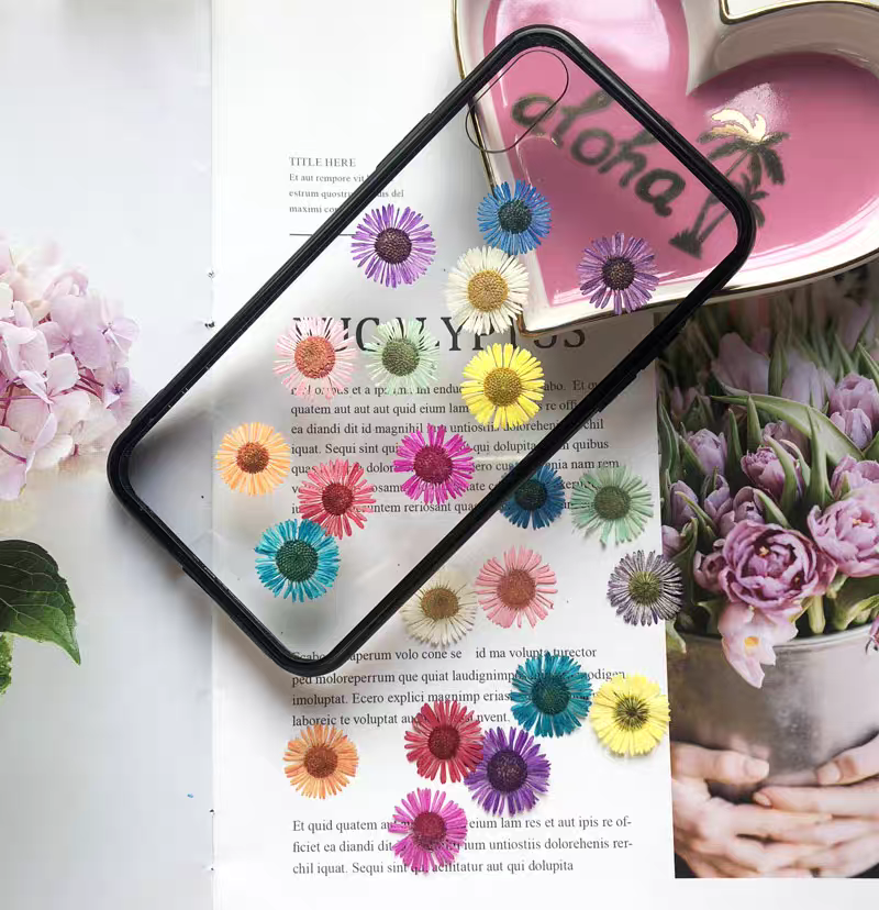 1 Set Gepresste Trockenblumen  – Dried Flower Bookmark Bewertung und Preis