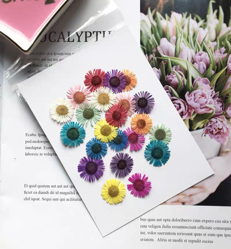 1 Set Gepresste Trockenblumen  – Dried Flower Bookmark Bewertung und Preis