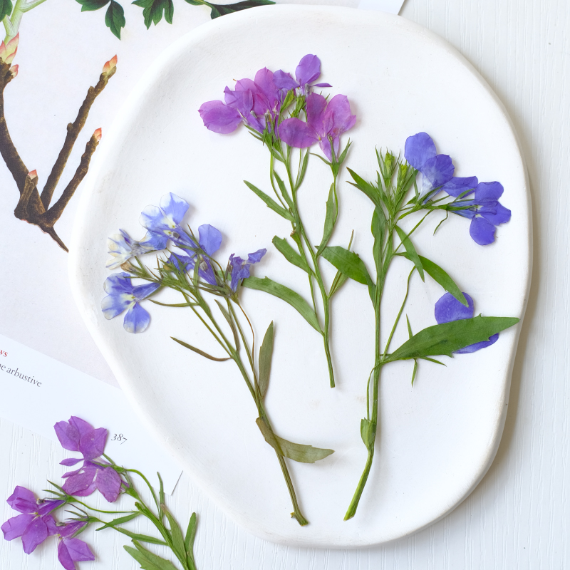 6 Stück/8–13 cm, natürliche Lo – Dried Flower Bookmark Bewertung und Preis
