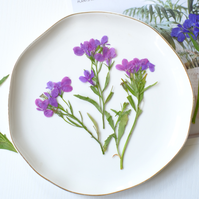 6 Stück/8–13 cm, natürliche Lo – Dried Flower Bookmark Bewertung und Preis