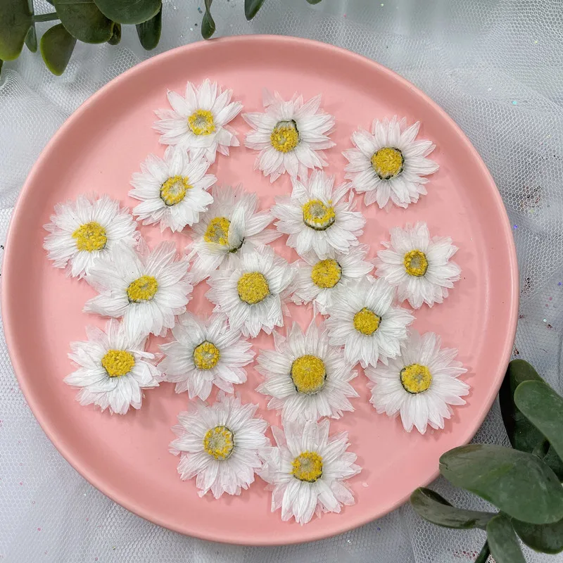 24 stücke/2-4CM, Natürliche Ge – Dried Flower Bookmark Bewertung und Preis