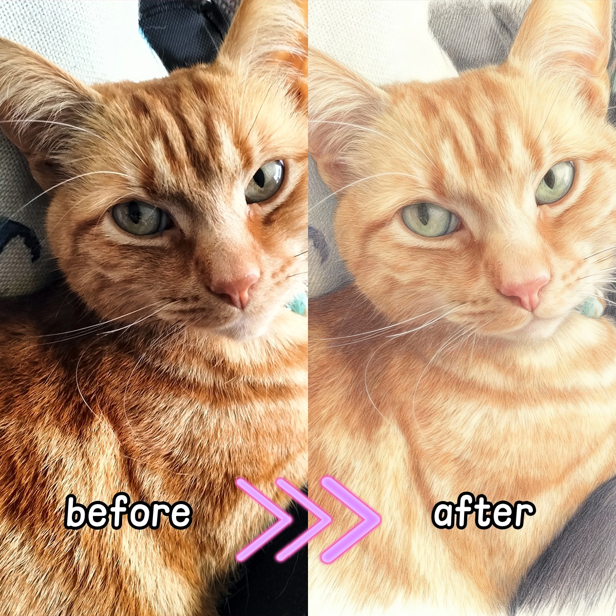 Personalisiertes, individuelle – Pet Portrait Custom Bewertung und Preis