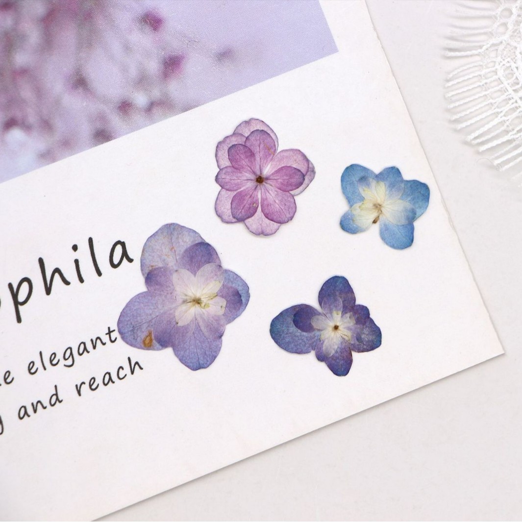 60 Stück Mini-Doppelblüten-Hor – Dried Flower Bookmark Bewertung und Preis